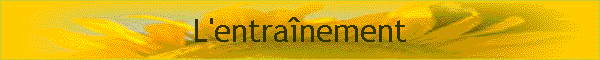 L'entranement
