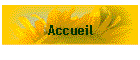 Accueil