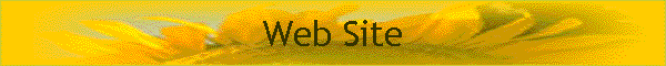 Web Site