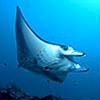 maldives16_1