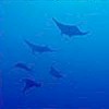 maldives16_4