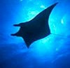 maldives16_5