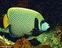 maldives17_1
